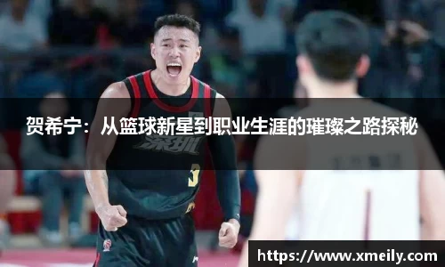 贺希宁：从篮球新星到职业生涯的璀璨之路探秘